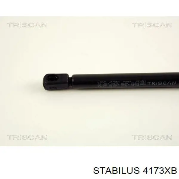 Comprar 4173XB Stabilus Amortiguador de puerta trasera