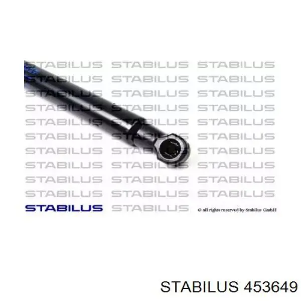 453649 Stabilus