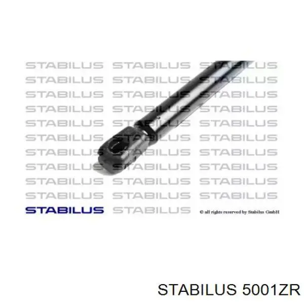 Amortiguador de capó 5001ZR Stabilus