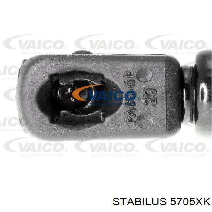 Amortiguador de maletero Audi A4 8E2