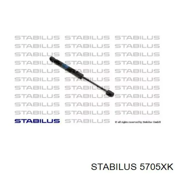 Amortiguador de maletero Audi A4 8E2