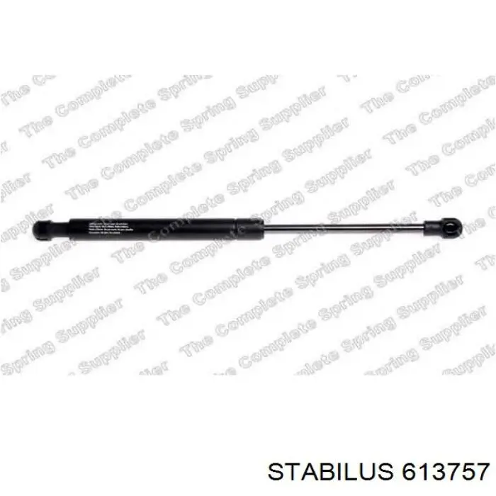 Muelle neumático, tapa delantera BMW 51237200197 precio, desde 27,83 EUR
