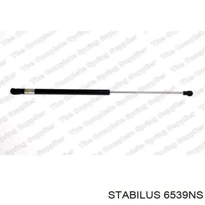 6539NS Stabilus Amortiguador de porton