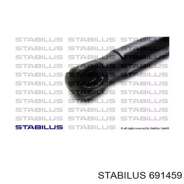 691459 Stabilus