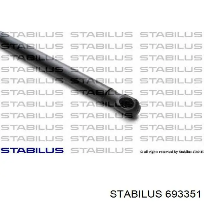 Comprar AM51R406A10AB Ford Amortiguador de puerta trasera