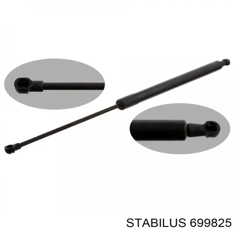 699825 Stabilus