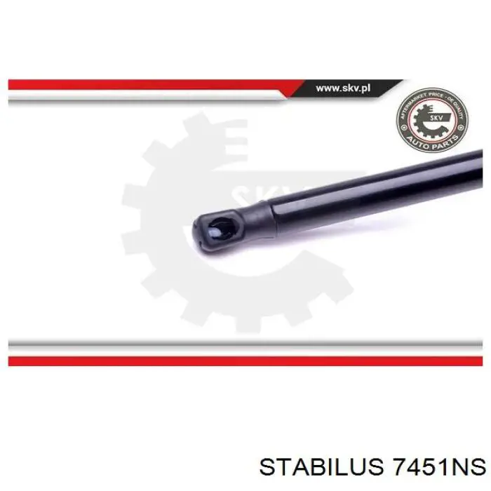 Muelle neumático, capó de motor Jaguar X-type CF1