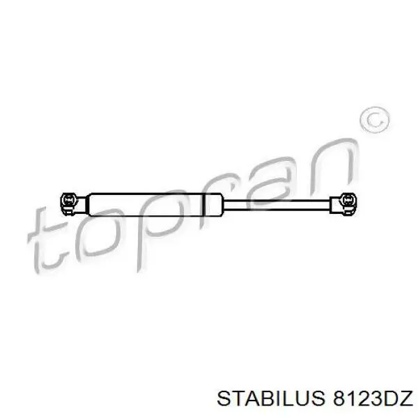 8123DZ Stabilus amortiguador de maletero