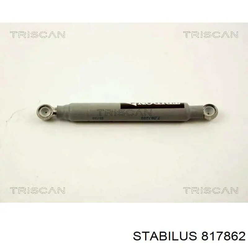 Amortiguador de la bomba de alta presión Stabilus 817862 precio, desde 30,42 EUR