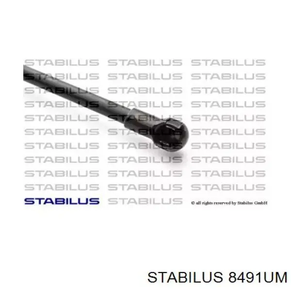 Comprar 8491UM Stabilus Amortiguador de puerta trasera