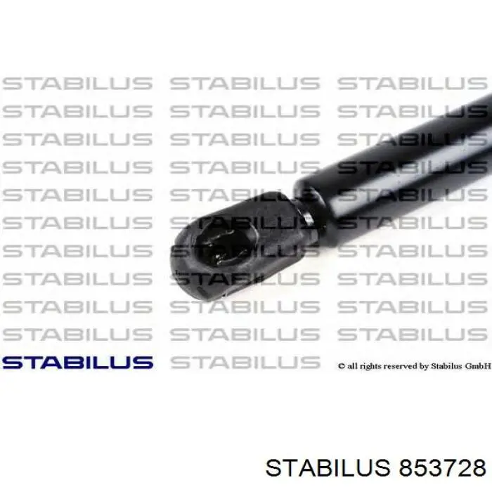 Amortiguador de maletero VAG 8S7827552A precio, desde 30,49 EUR