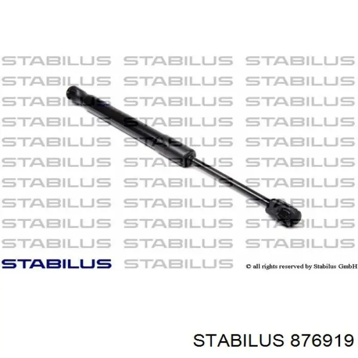 876919 Stabilus