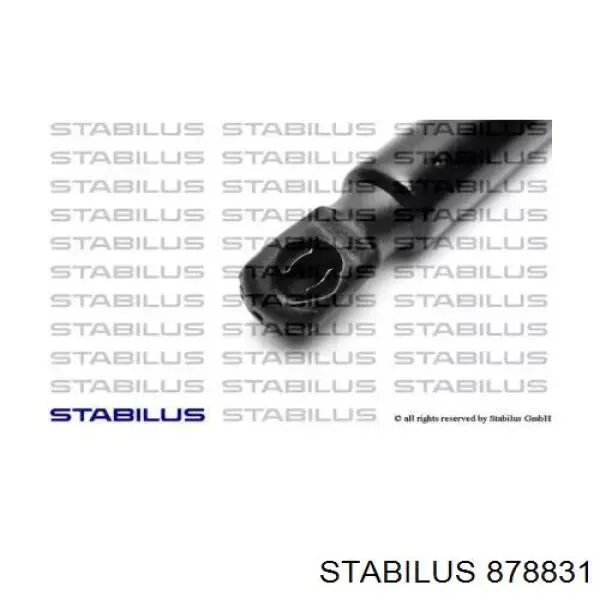 878831 Stabilus