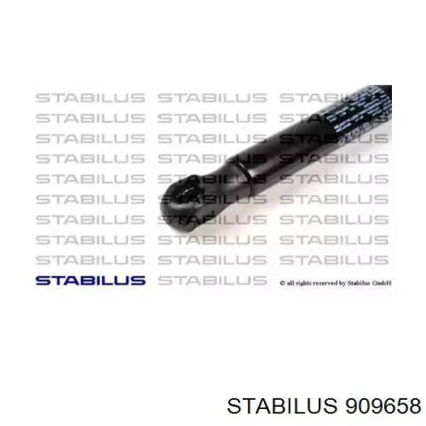 Muelle neumatico maletero Kamoka 7092375