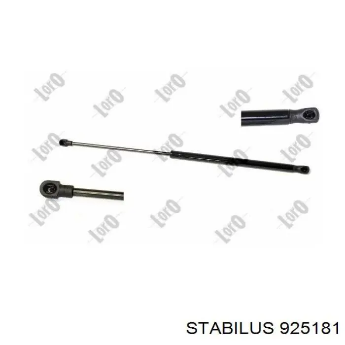 Amortiguador maletero ADBP580015 Blue Print