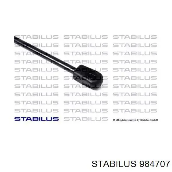 984707 Stabilus