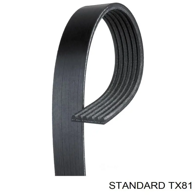 TX81 Standard sensor de temperatura del refrigerante