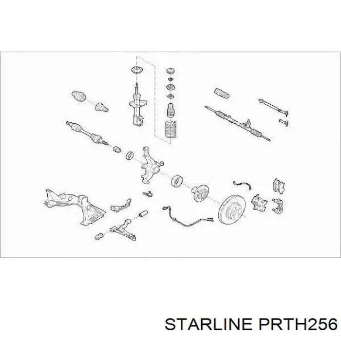 Muelle delantero PRTH256 Starline