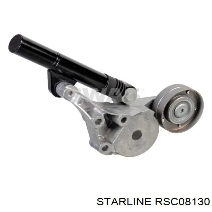 RS C08130 Starline tensor de correa, correa poli v