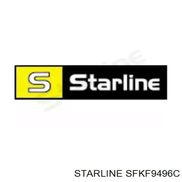 SFKF9496C Starline Filtro antipolen