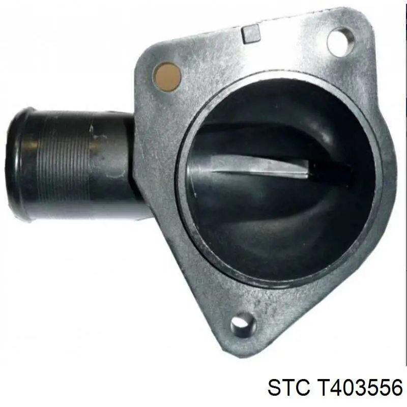 T403556 STC tapa de termostato