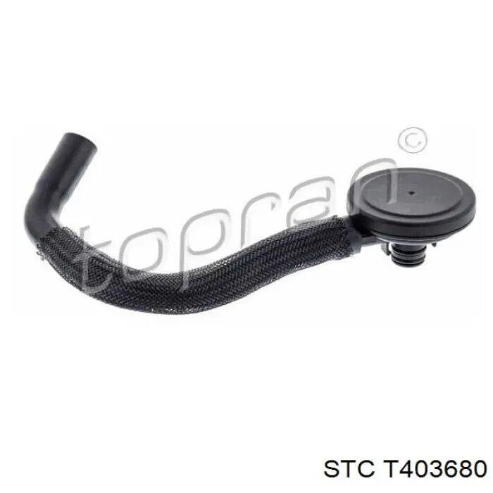 Separador de aceite del sistema de ventilación del cárter STC T403680 precio, desde 19,85 EUR