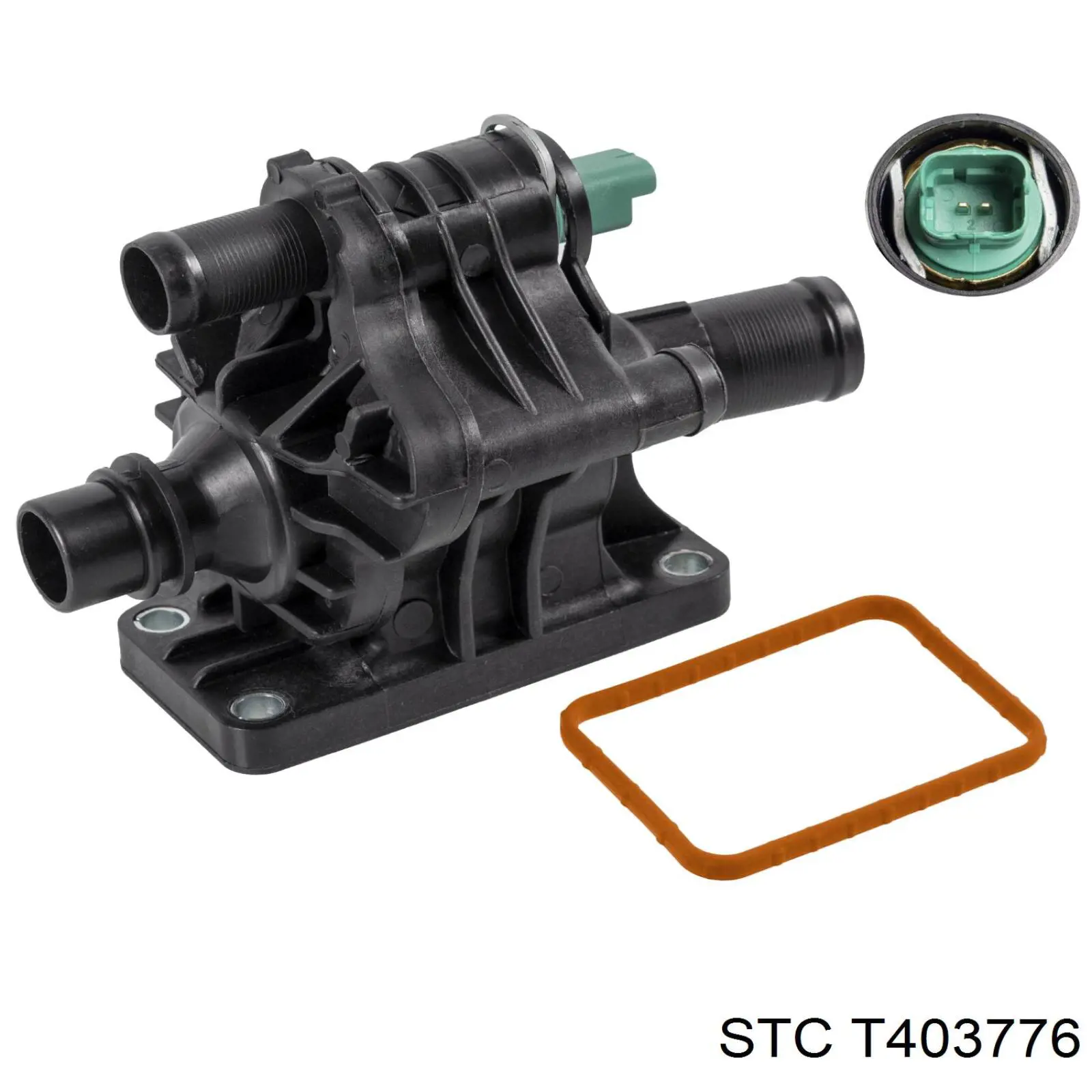 Comprar T403776 STC Caja de termostato