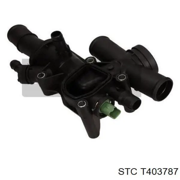 T403787 STC Caja del termostato