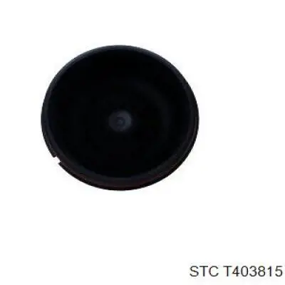 Tapa del filtro de aceite 9906 Fare