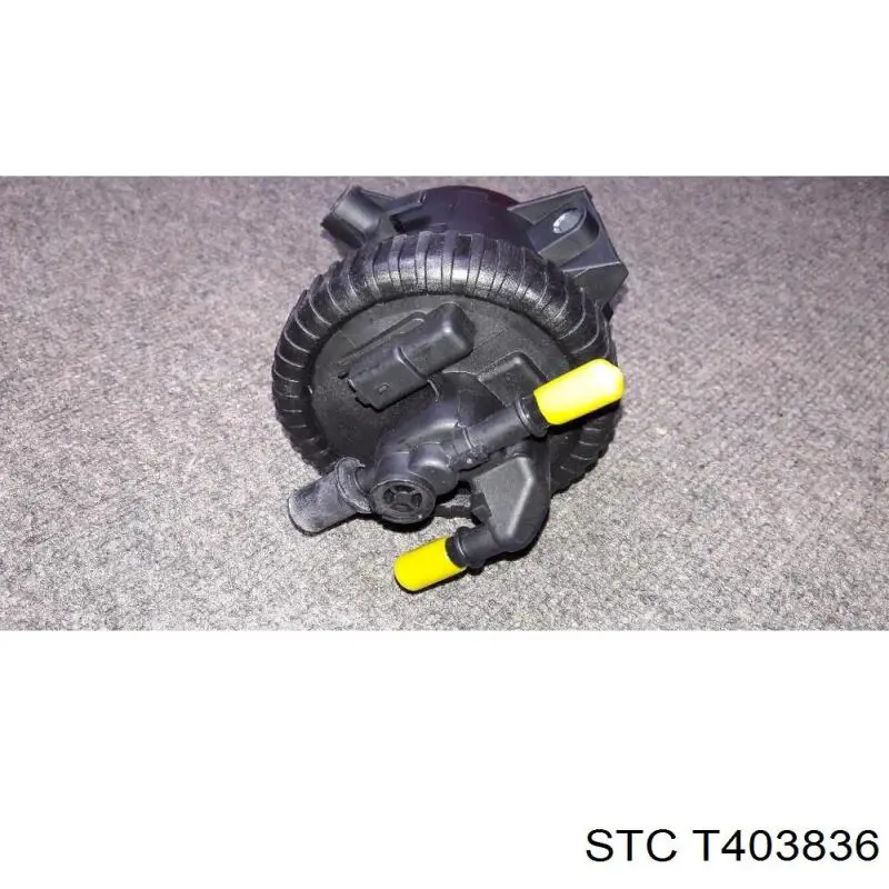 Comprar T403836 STC Caja del filtro de combustible