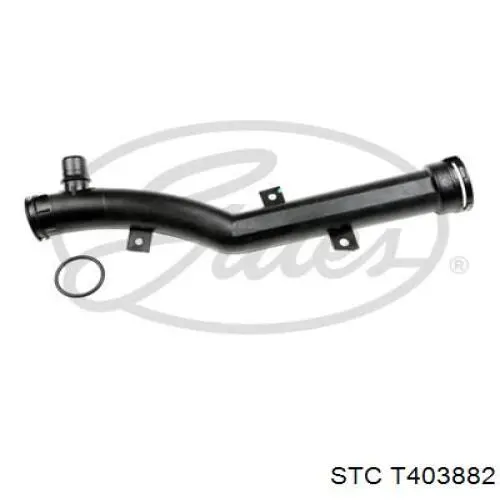 Comprar T403882 STC Manguera del termostato