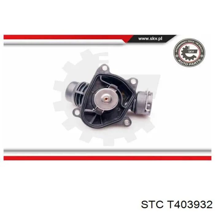 Comprar T403932 STC Termostato