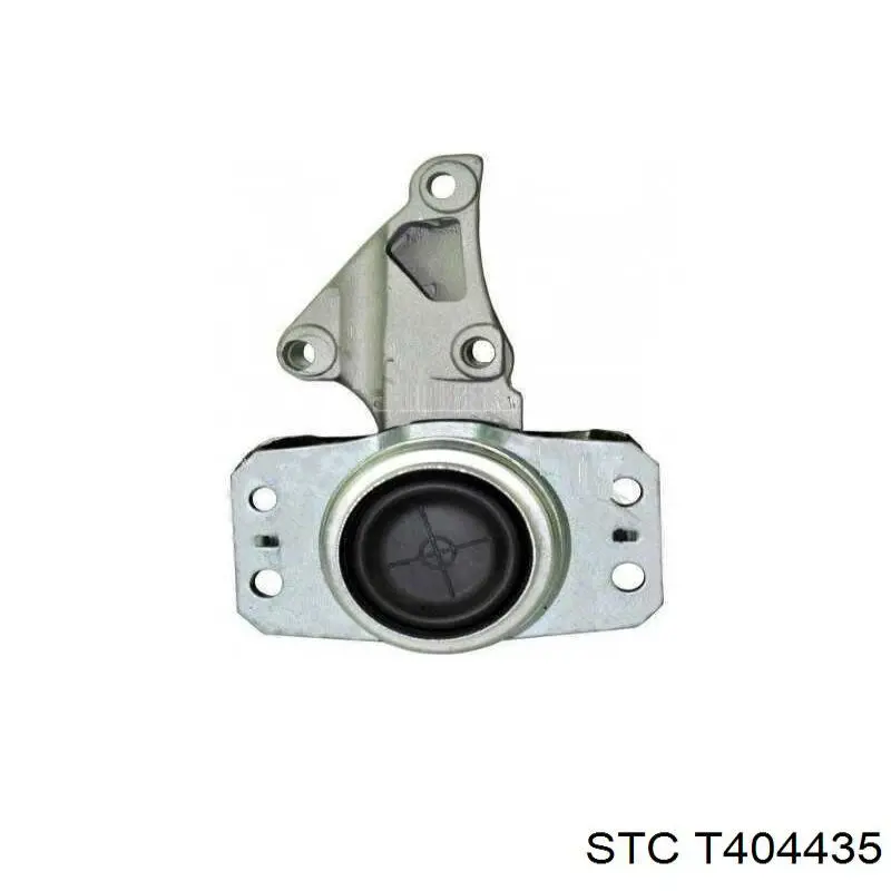  Sasic 2700045