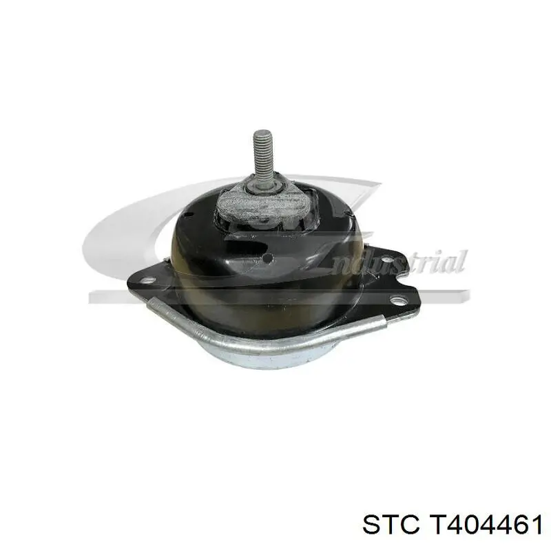 T404461 STC soporte, motor, derecho inferior