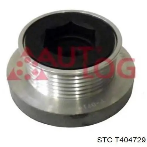 Poleas juego de piezas Renault Megane 2 LM0, LM1