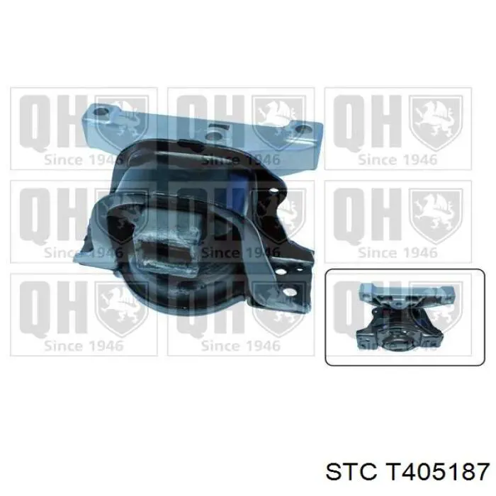 T405187 STC soporte de motor derecho