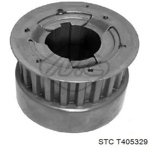 Comprar 031569 Cautex Piñón del cigüeñal