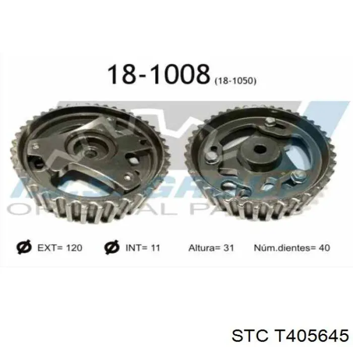 Piñón cadena distribución Renault LOGAN 1 LS