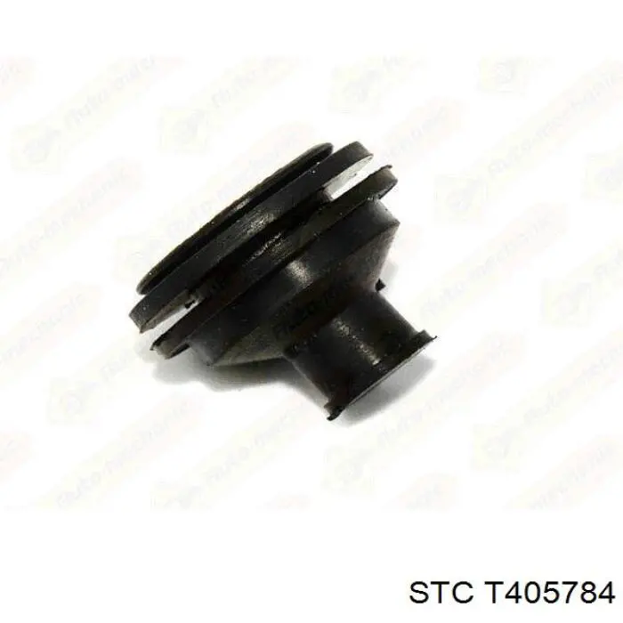  Cautex 021349
