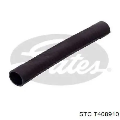 Manguera inferior del radiador Renault (RVI) 6025308738