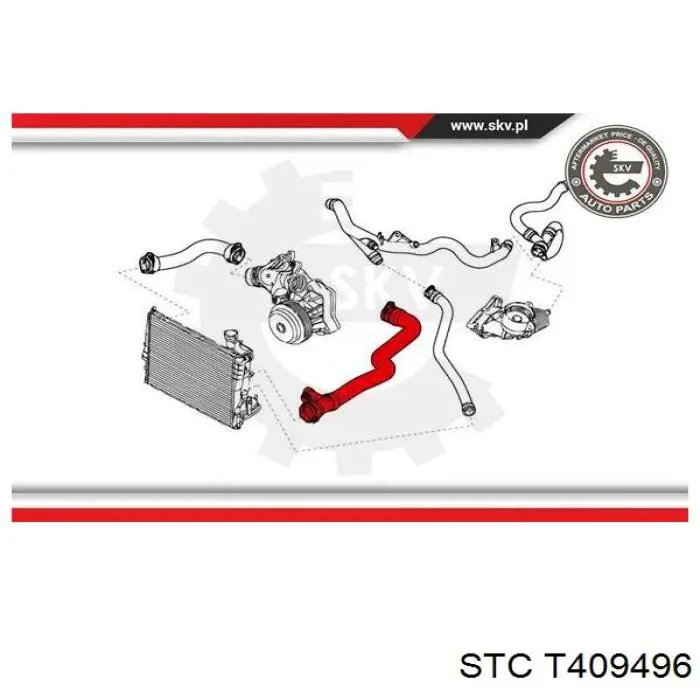 T409496 STC tubería de radiador arriba