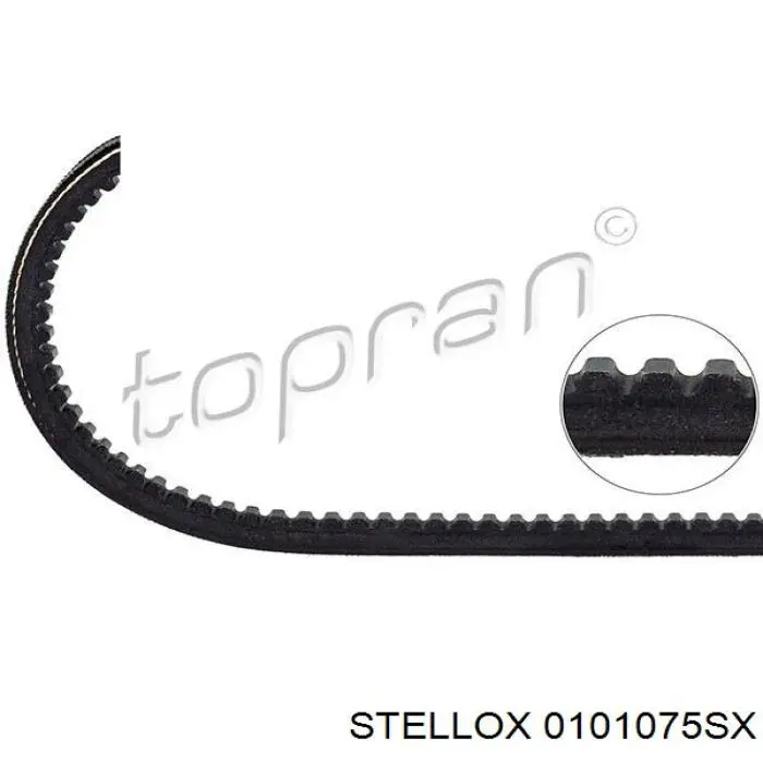 01-01075-SX Stellox correa trapezoidal