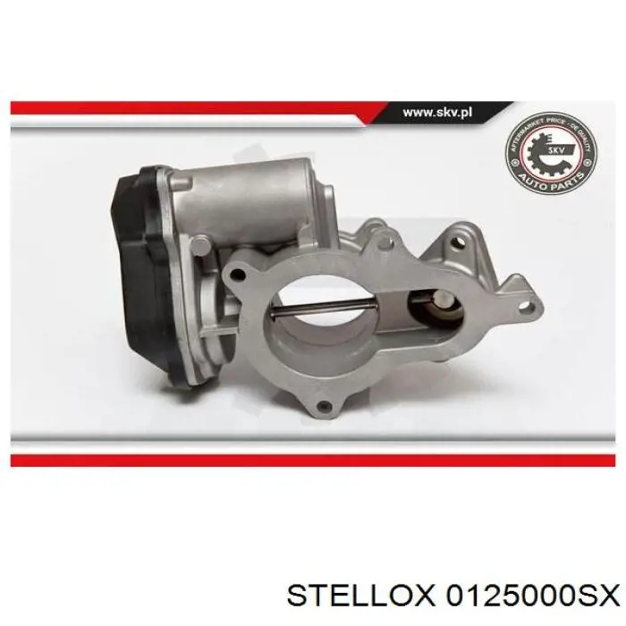 Comprar EGR12124 Freccia Válvula EGR