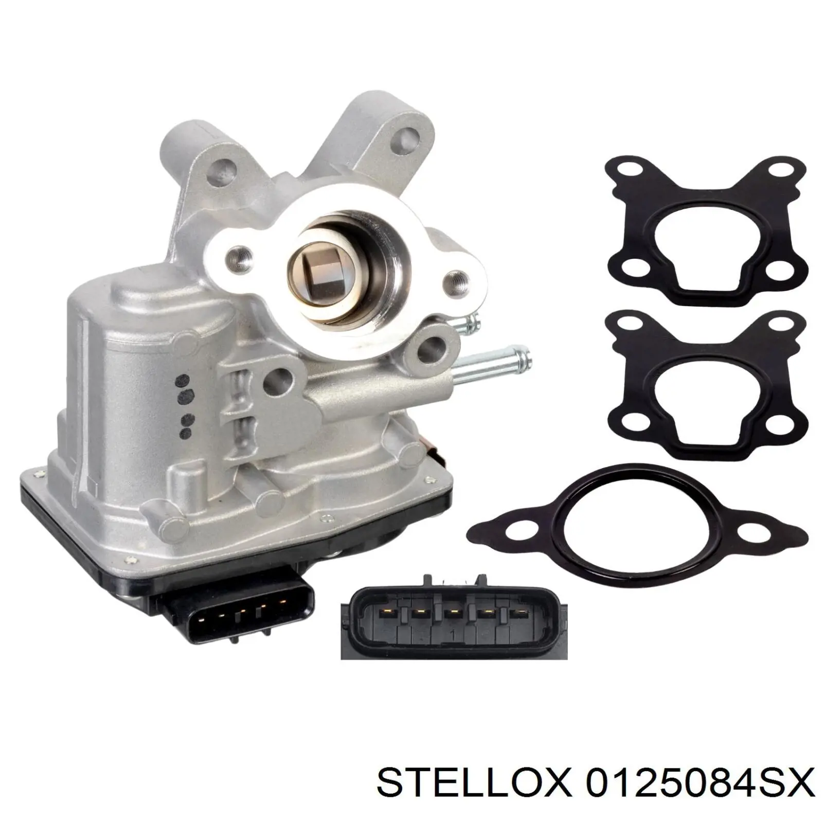 Válvula EGR Dr.motor DRM131101