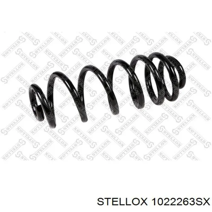 Muelle SR139TP Raiso