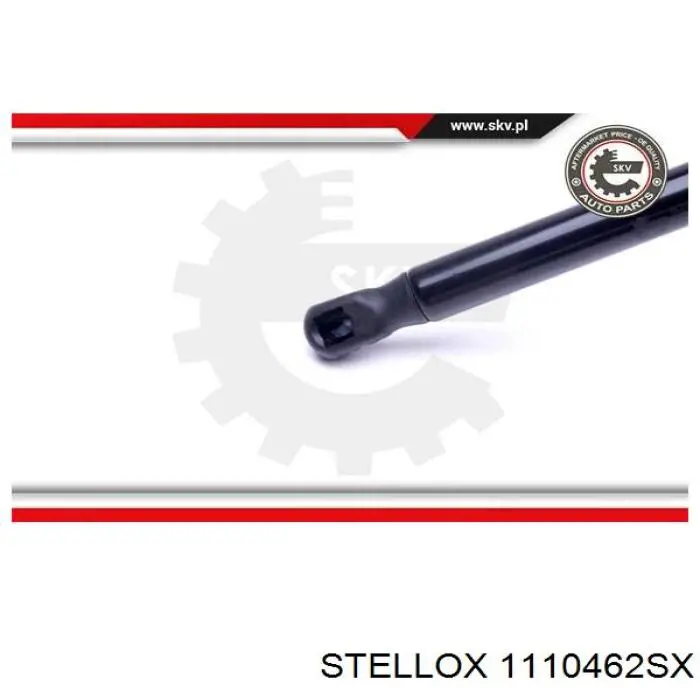Muelle neumatico maletero Peugeot/Citroen 5802A007