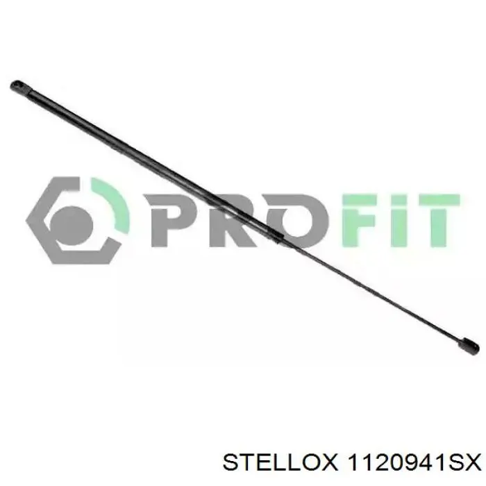 Muelle neumatico maletero Peugeot/Citroen 00008731P6