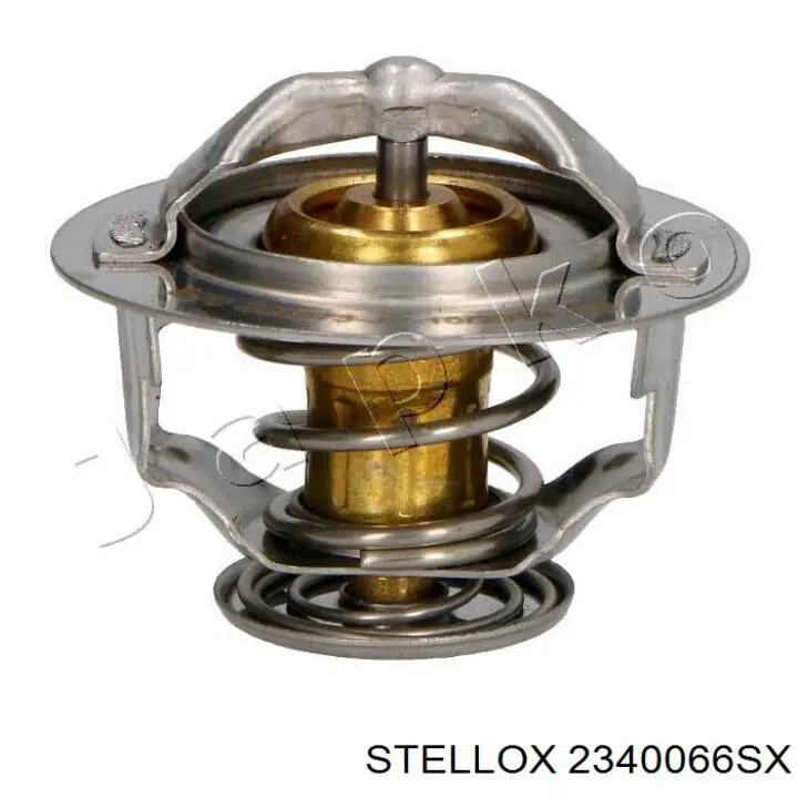 1447384M1 Massey Ferguson Termostato de agua