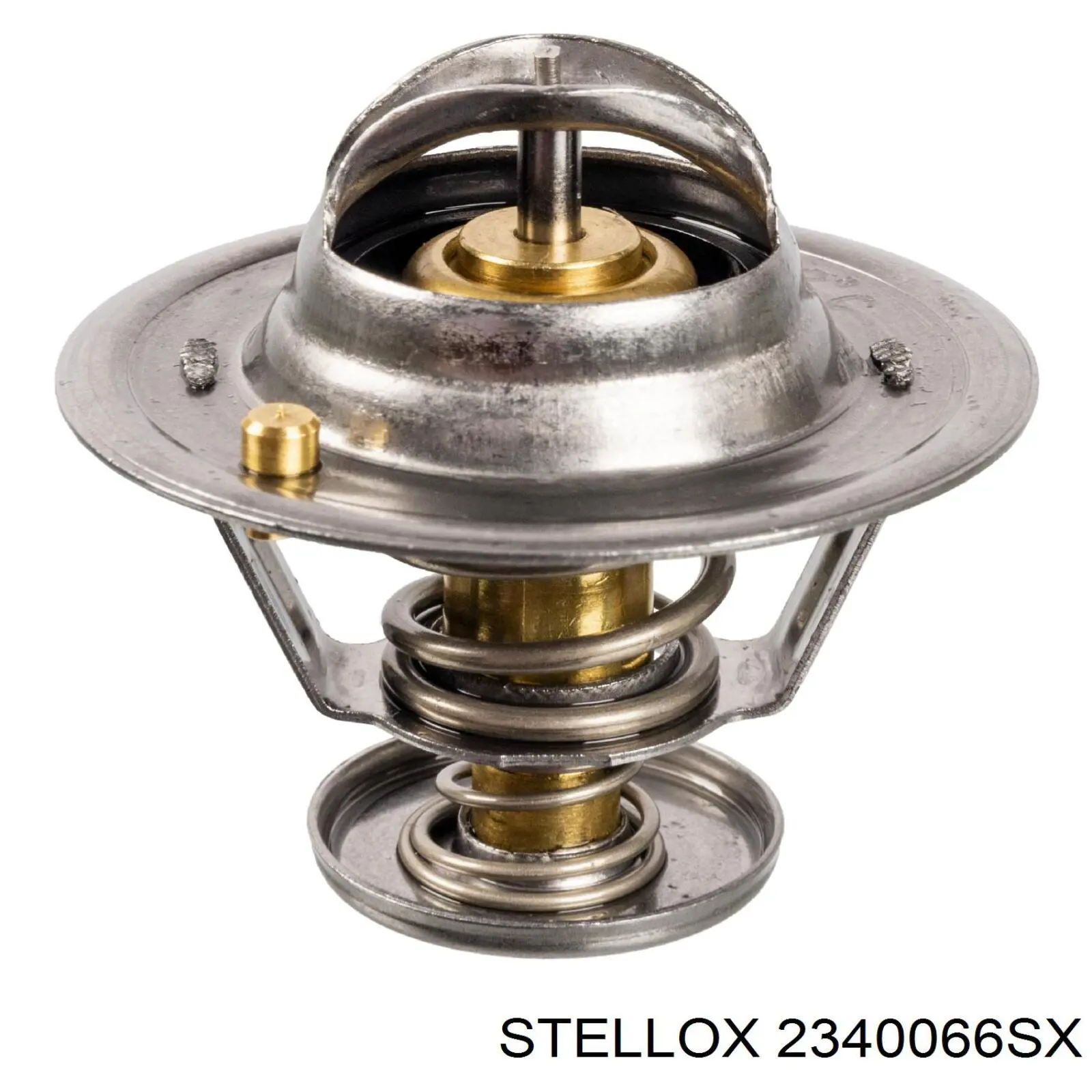 1447384M1 Massey Ferguson Termostato de agua