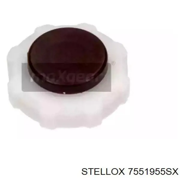 Tapón de expansión de refrigerante/anticongelante Nissan Qashqai 2 J11